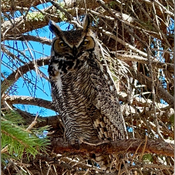 Meet your Posher, Debi - Picture 2 of 12